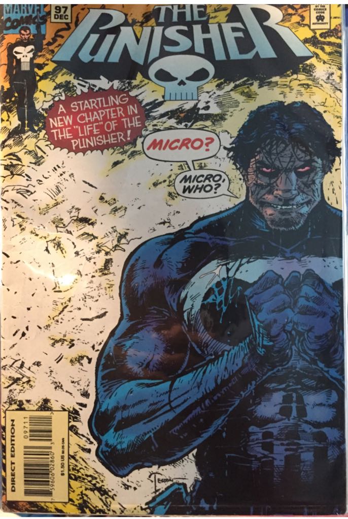 The Punisher (Vol 2)