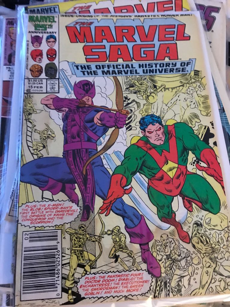 The Punisher:War Journal