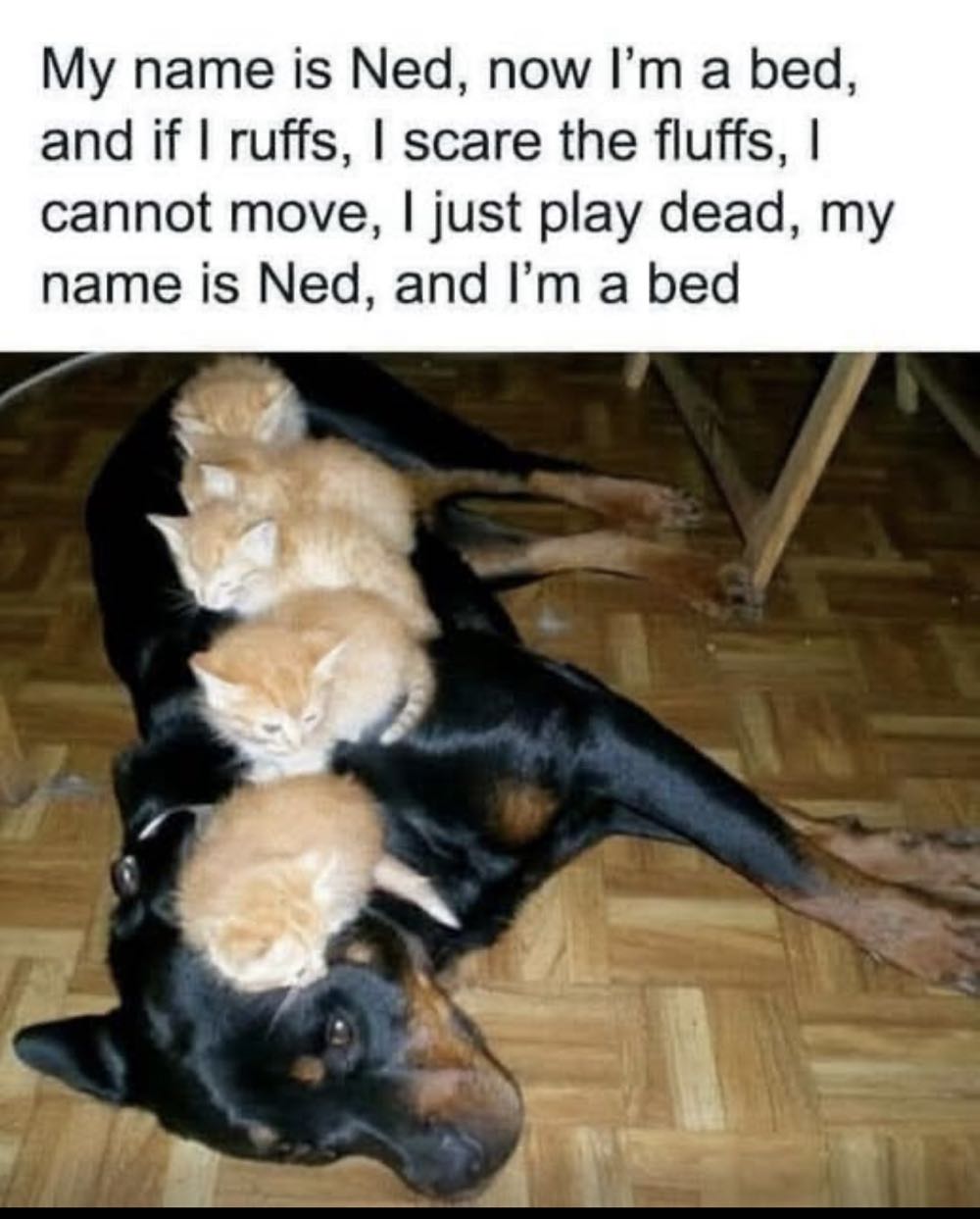 Spawn  #63     $$$$ - Image (63 - Jul 1997) comic book collectible [Barcode 07447033241162] - Main Image 4