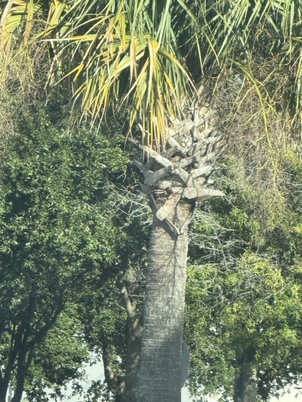 Spawn - Image Comics (67 - Nov 1997) comic book collectible [Barcode 070992332410] - Main Image 4