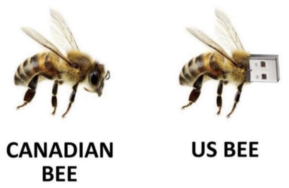 Spawn - Image Comics (55 - 11/1996) comic book collectible [Barcode 073361649898] - Main Image 4