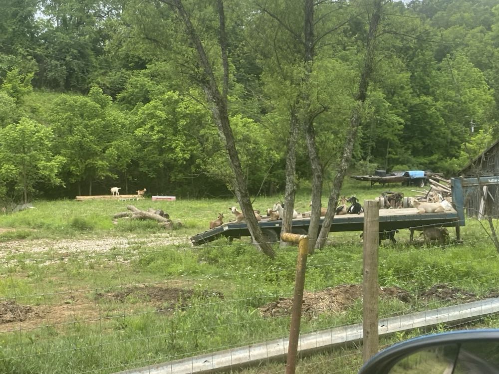 West Coast Avengers - Marvel Comics (89 - Dec 1993) comic book collectible [Barcode 009281021001] - Main Image 4