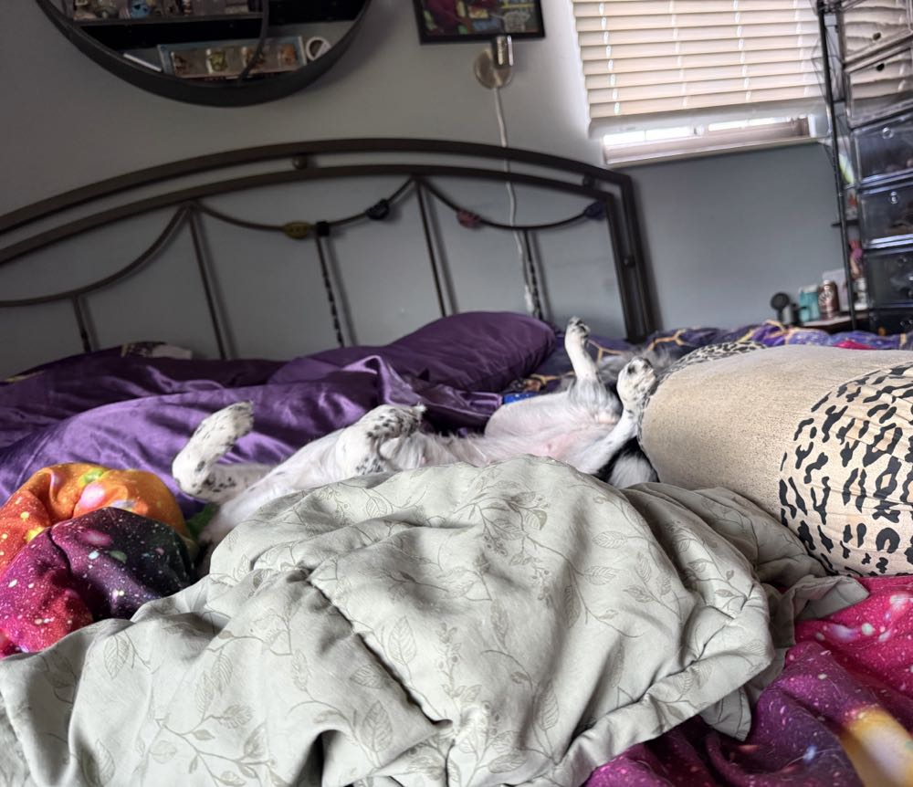 West Coast Avengers - Marvel Comics (29 - Feb 1988) comic book collectible [Barcode 759606021000] - Main Image 3