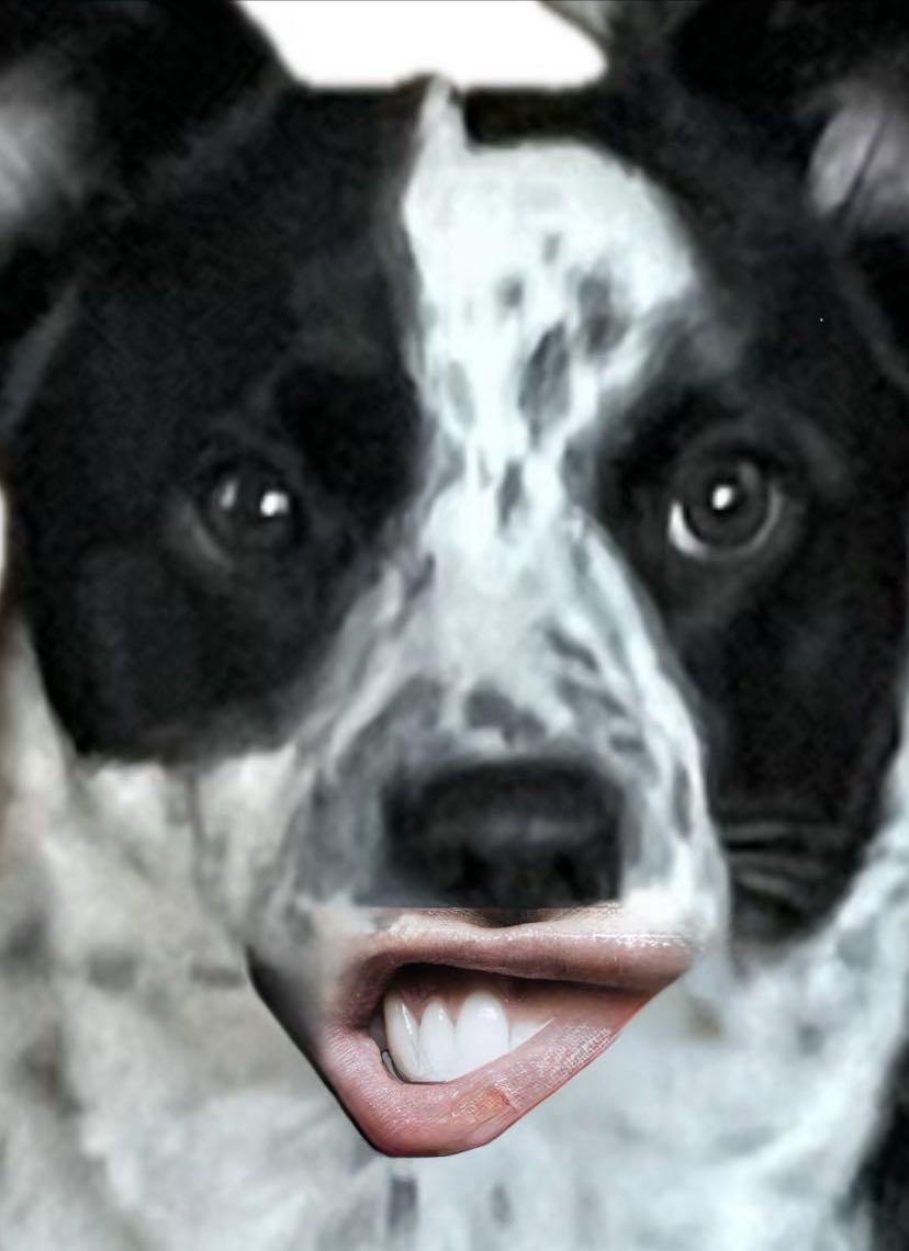 West Coast Avengers - Marvel Comics (22 - Jul 1987) comic book collectible [Barcode 759606021000] - Main Image 4