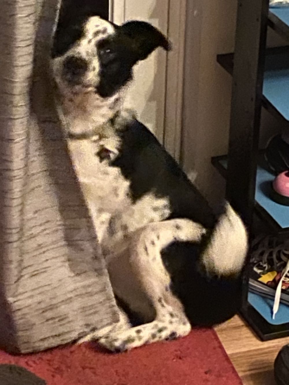 West Coast Avengers - Marvel Comics (30 - Mar 1988) comic book collectible [Barcode 759606021000] - Main Image 3