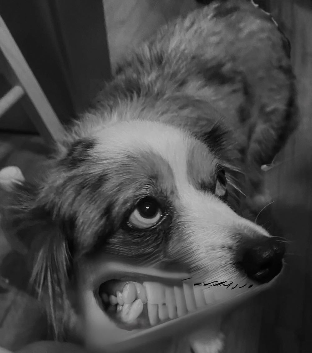 West Coast Avengers - Marvel Comics (30 - Mar 1988) comic book collectible [Barcode 759606021000] - Main Image 4