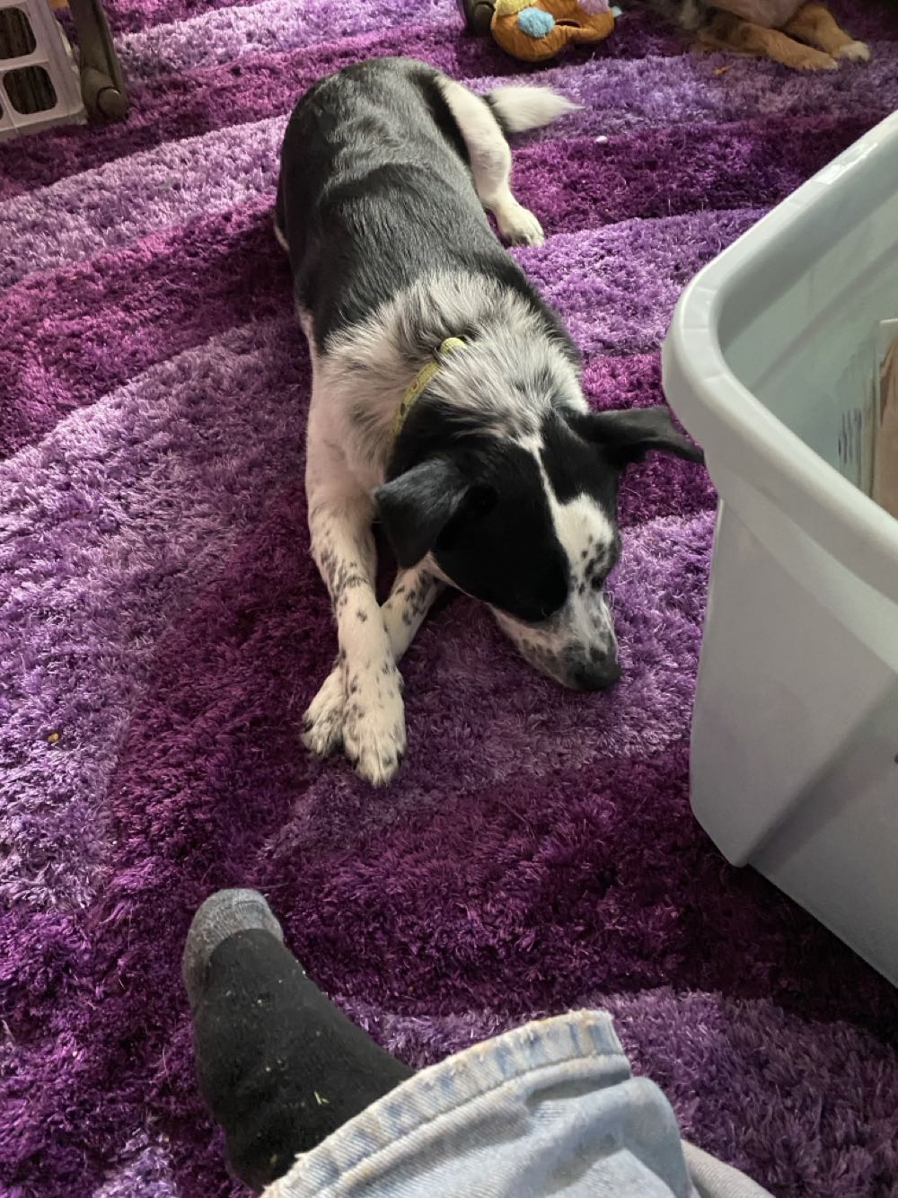 West Coast Avengers - Marvel Comics (36 - Aug 1988) comic book collectible [Barcode 071486029007] - Main Image 4