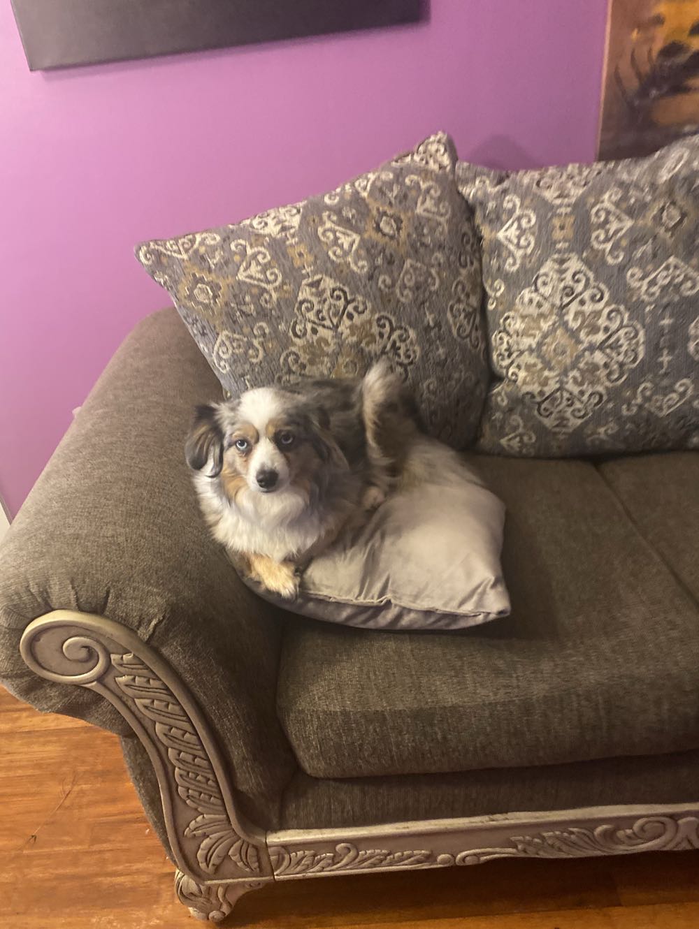 West Coast Avengers - Marvel Comics (66 - Jan 1991) comic book collectible [Barcode 000000000] - Main Image 3