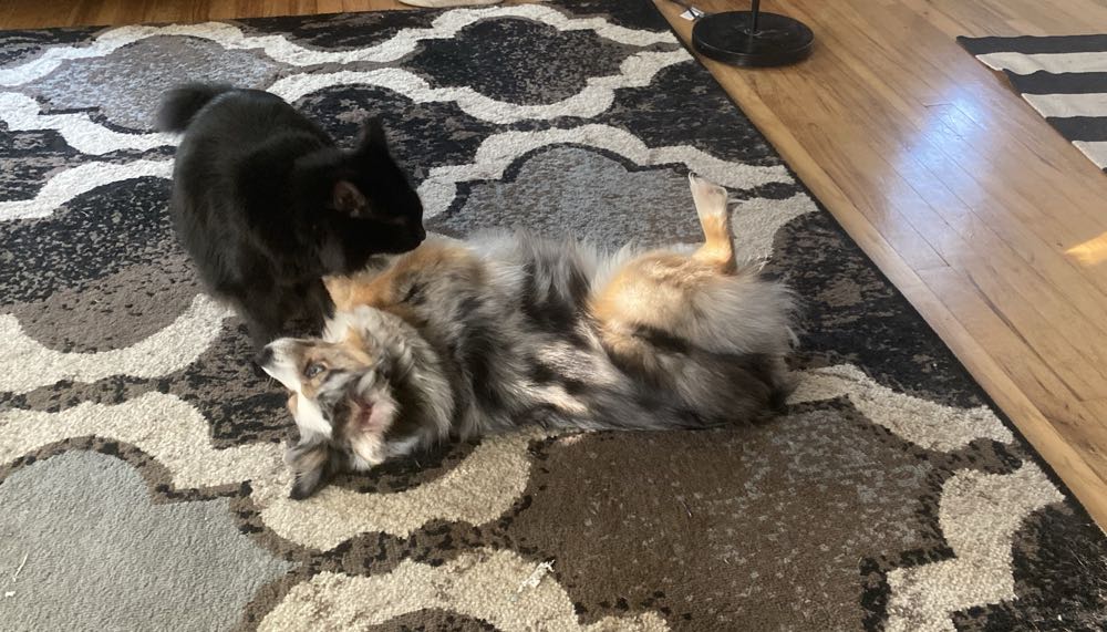 West Coast Avengers - Marvel Comics (46 - Jul 1989) comic book collectible - Main Image 4