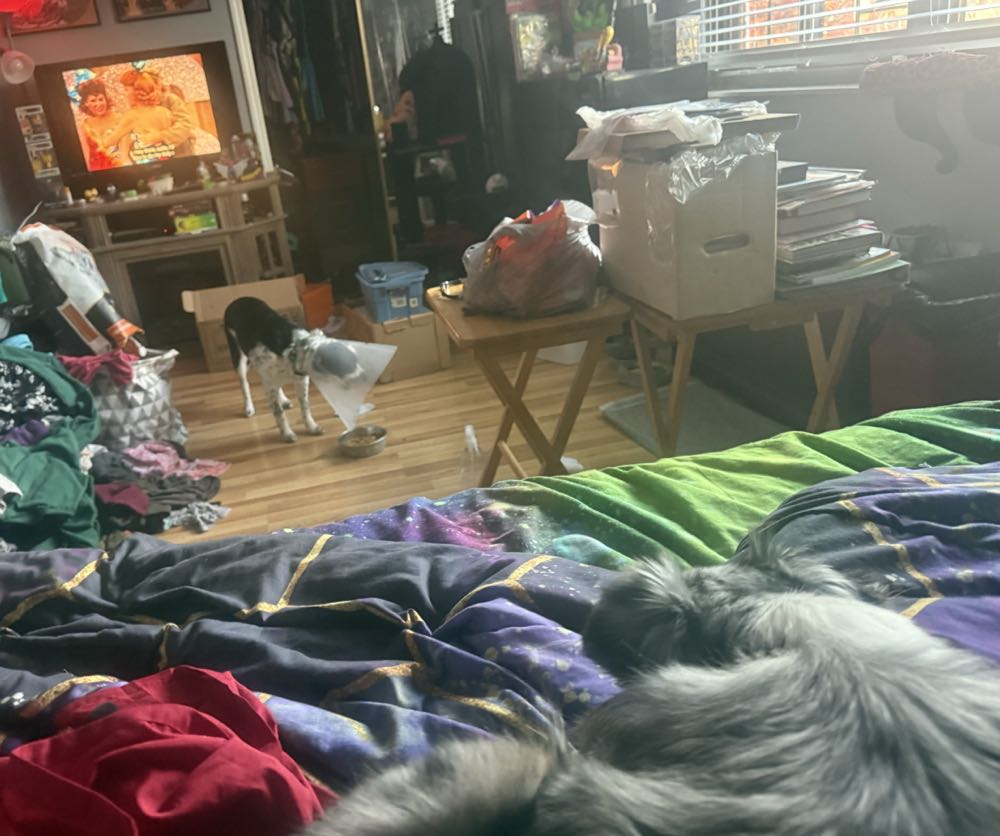 West Coast Avengers vol. 2 - Marvel (19 - Nov 1987) comic book collectible [Barcode 071486021001] - Main Image 3