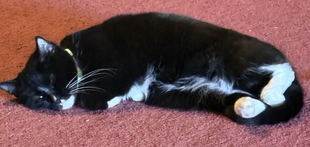 Solo Avengers - Marvel (8 - Jul 1988) comic book collectible [Barcode 071486026518] - Main Image 3