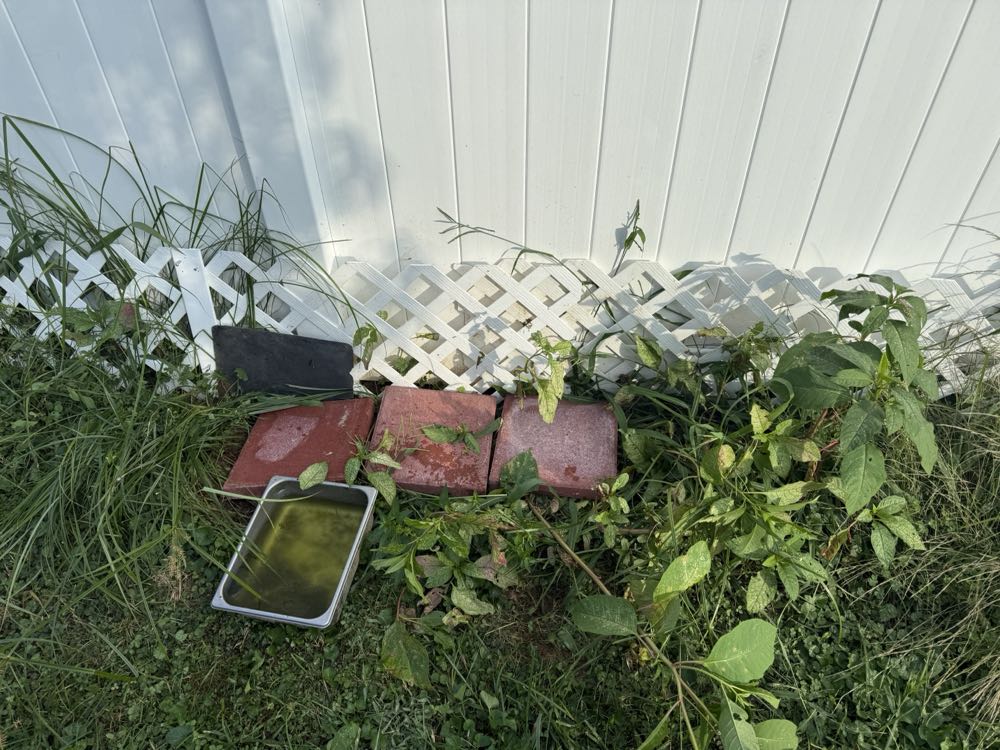 Detective Comics - DC (Detective Comics) (969 - Jan 2018) comic book collectible [Barcode 76194134373096911] - Main Image 3