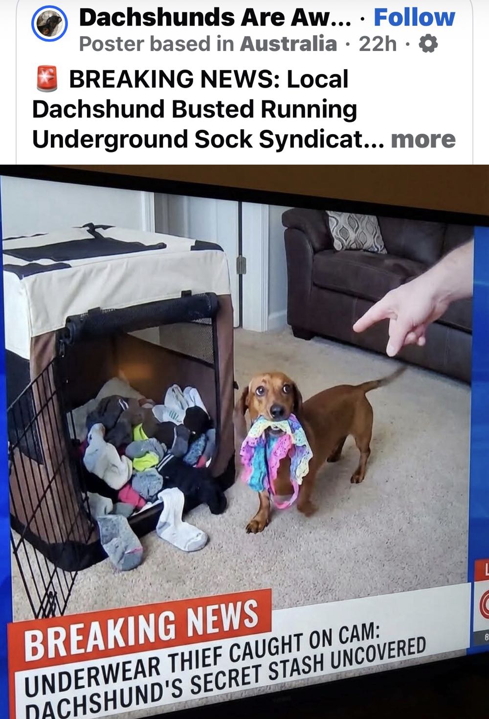 Incredible Hulk, The - Marvel Comics (618) comic book collectible [Barcode 9780785107903] - Main Image 3