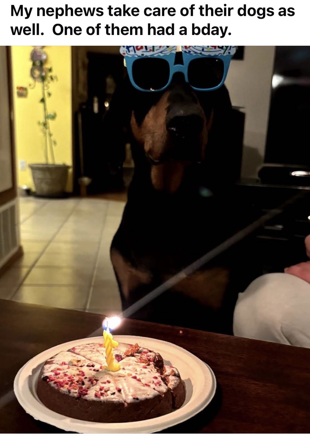 Incredible Hulk, The - Marvel Comics (618) comic book collectible [Barcode 9780785107903] - Main Image 4