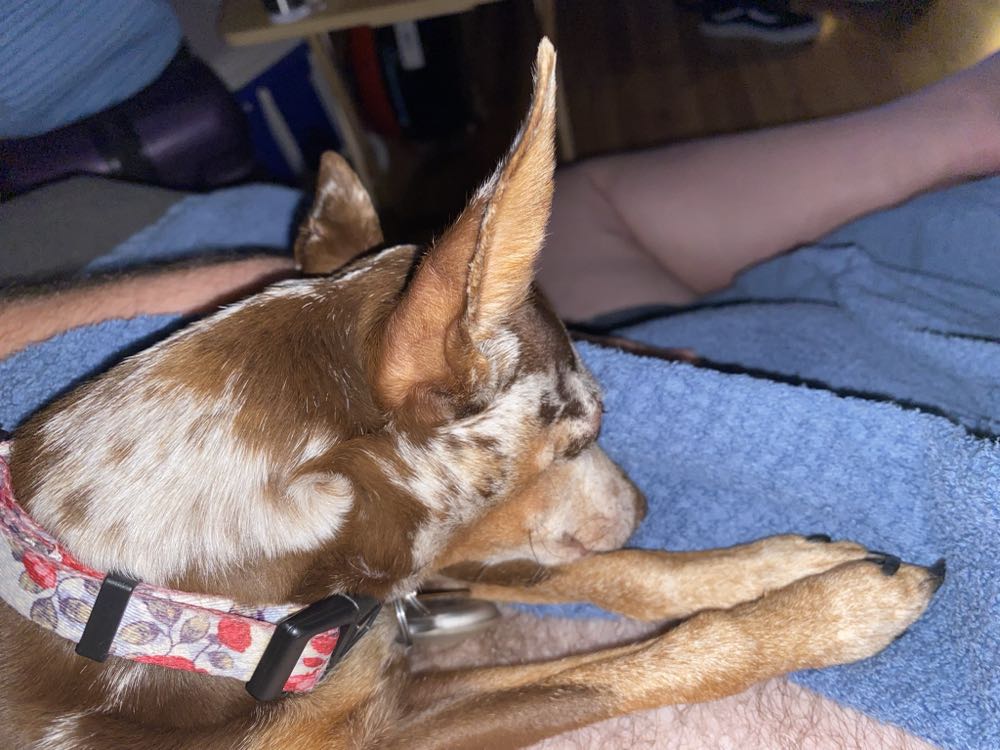 The Incredible Hulk - Marvel Comics (622 - Apr 2011) comic book collectible [Barcode 75960606637762211] - Main Image 2