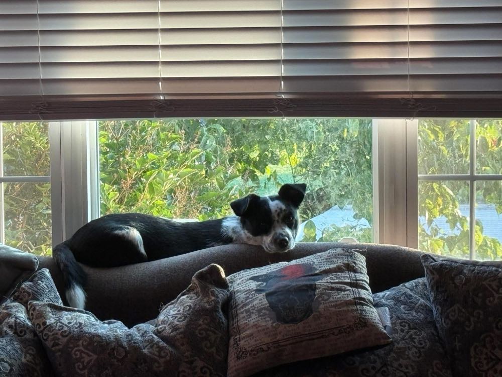 The Incredible Hulk - Marvel Comics (622 - Apr 2011) comic book collectible [Barcode 75960606637762211] - Main Image 4