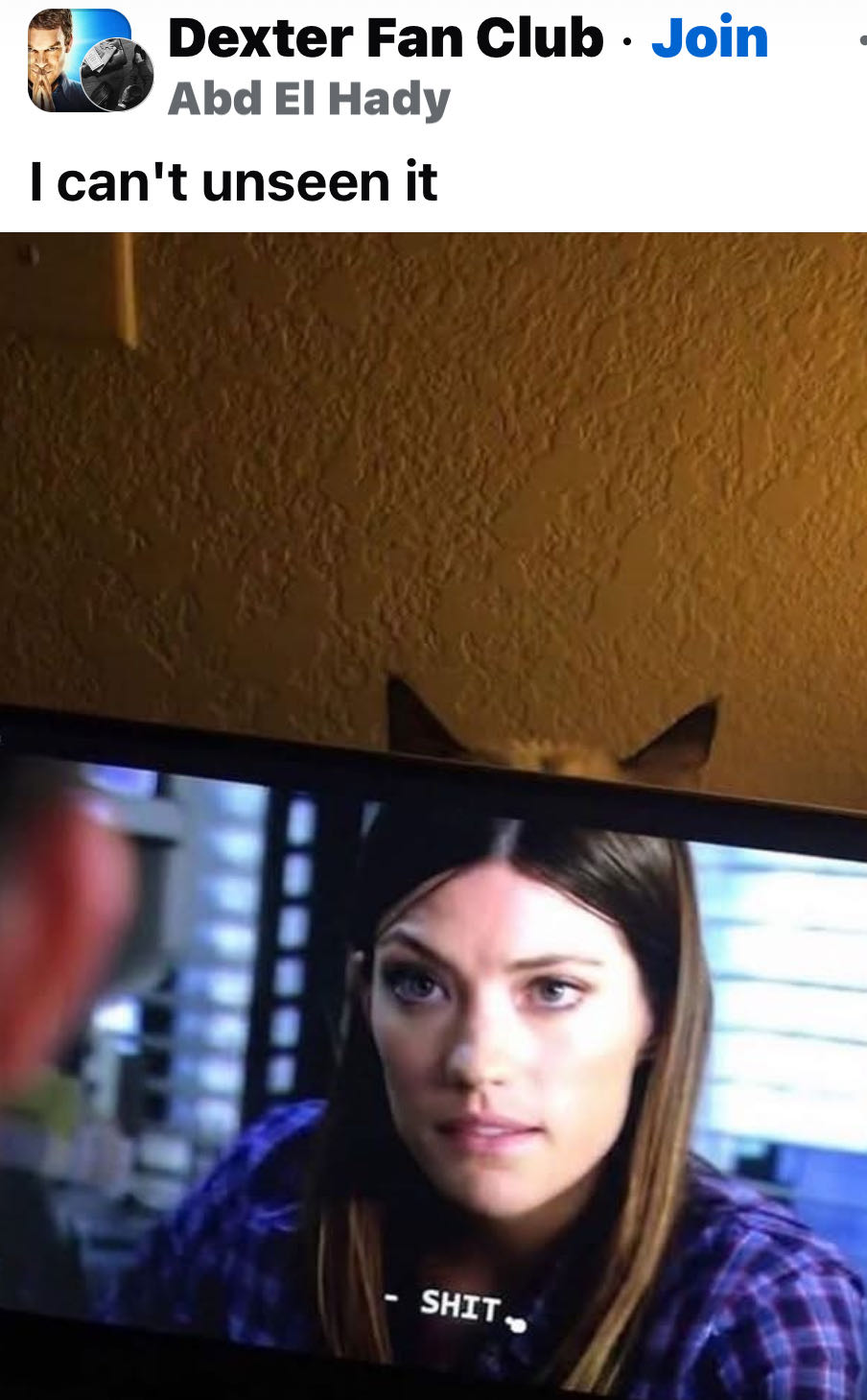 Justice League of America - DC (Detective Comics) (133 - Aug 1976) comic book collectible - Main Image 2