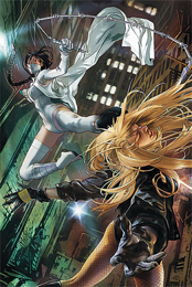 Birds Of Prey  (4) comic book collectible - Main Image 1