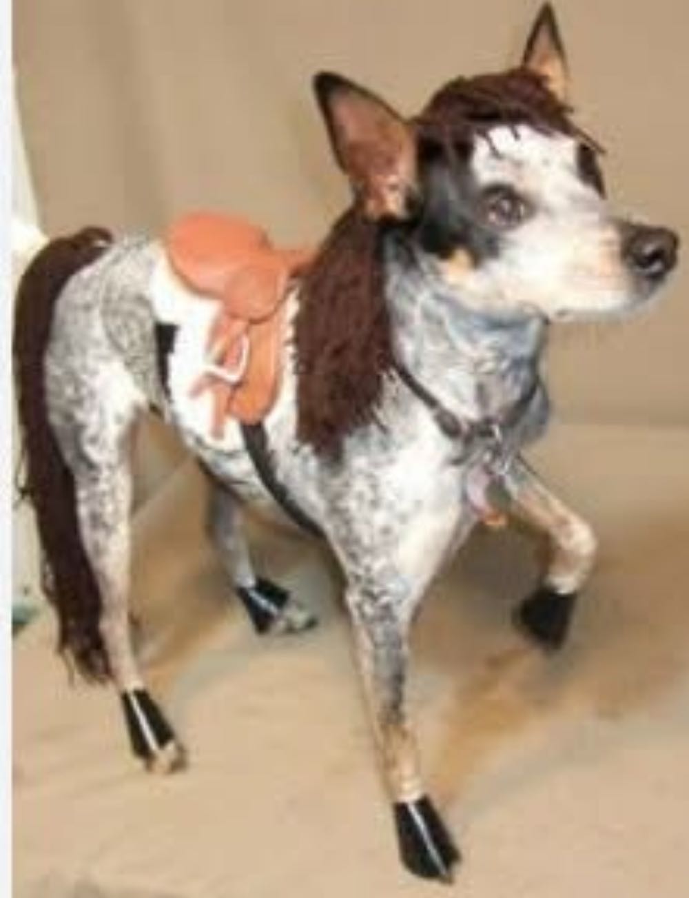 Uncanny X-Men - Marvel Comics (177 - Jan 1984) comic book collectible [Barcode 9780871355829] - Main Image 3