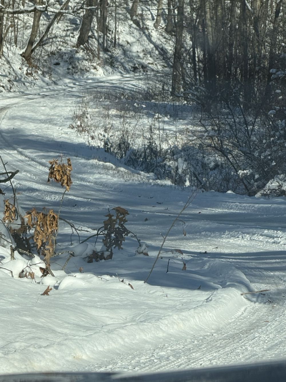 Uncanny X-Men - Marvel Comics (179 - Mar 1984) comic book collectible [Barcode 07148602461391] - Main Image 4