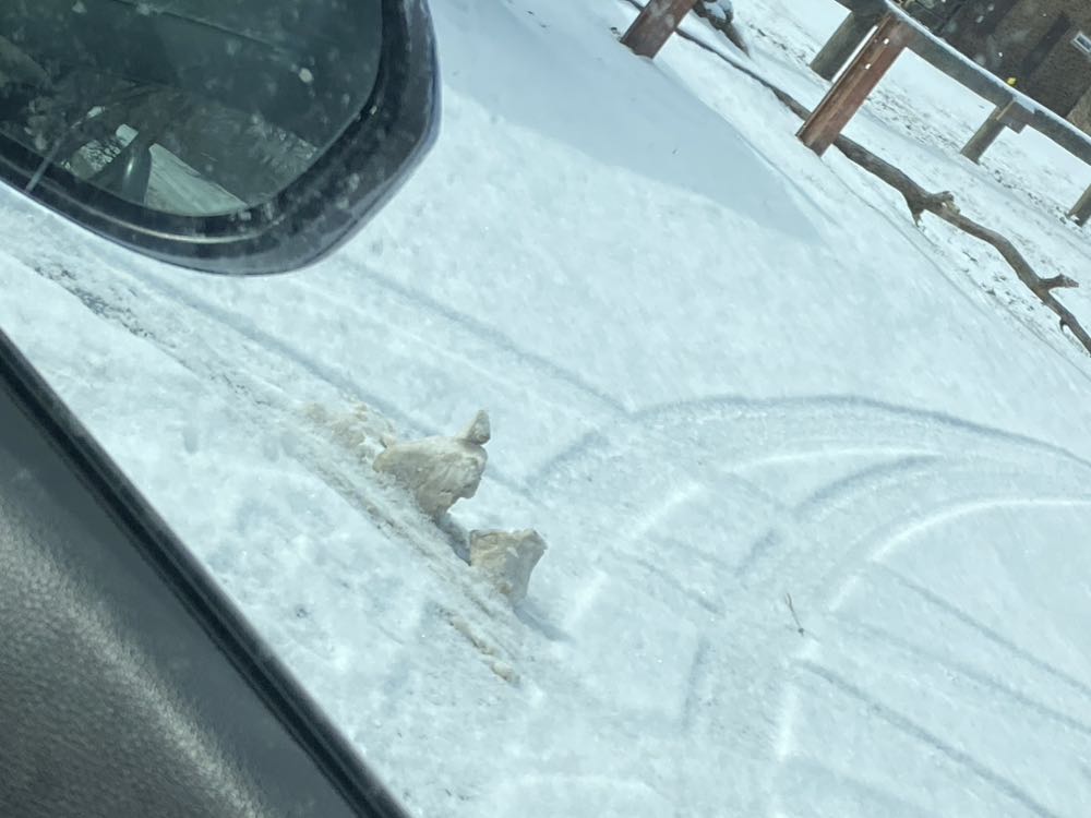 The Amazing Spider-man - Marvel Comics (262 - Mar 1984) comic book collectible [Barcode 759606068142] - Main Image 4