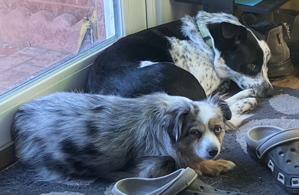 Amazing Spider-man, The - Marvel Comics (278 - Jul 1986) comic book collectible [Barcode 759606068142] - Main Image 3