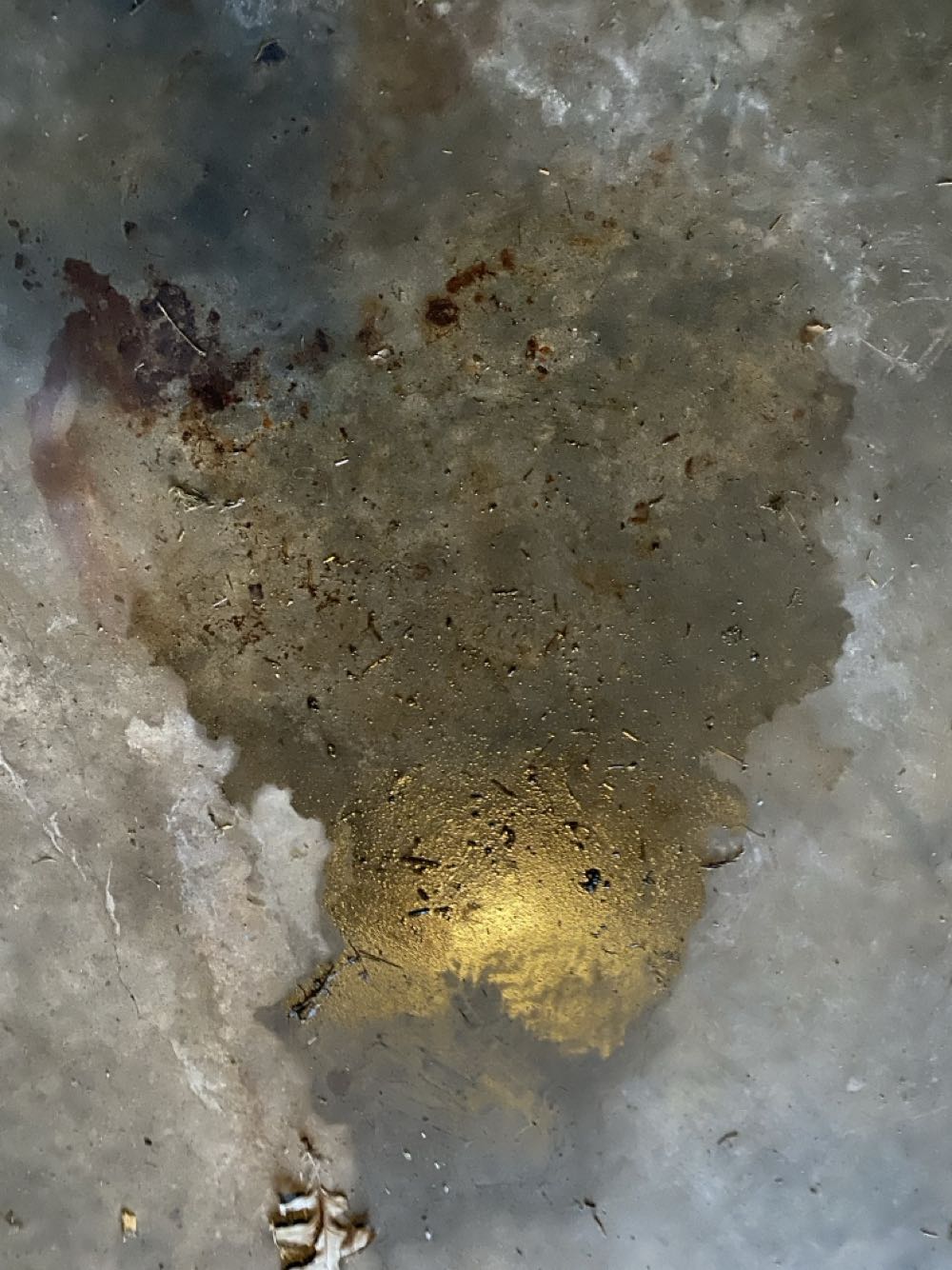 Amazing Spider-man, The - Marvel Comics (251 - Apr 1984) comic book collectible [Barcode 000000000] - Main Image 4