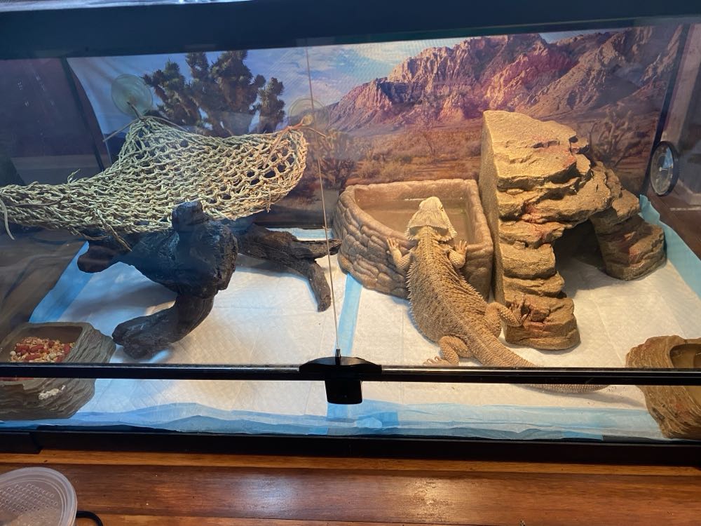 Alpha Flight - Marvel Comics (22 - May 1985) comic book collectible [Barcode 009281012009] - Main Image 3