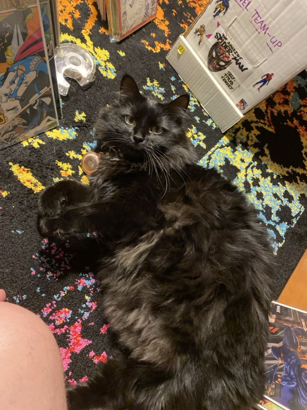 Alpha Flight - Marvel Comics (22 - May 1985) comic book collectible [Barcode 009281012009] - Main Image 4