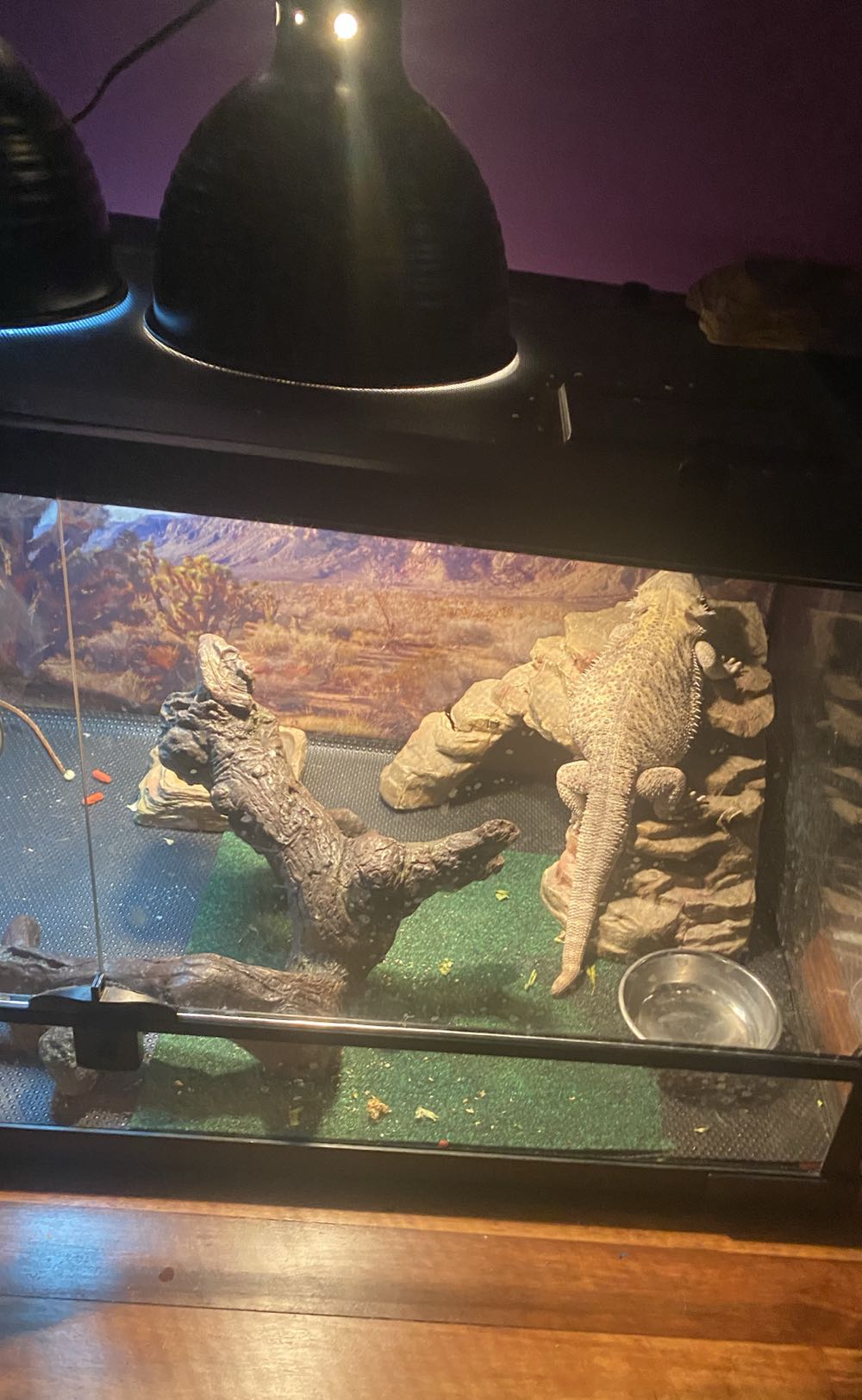 Alpha Flight - Marvel Comics (24 - Jul 1985) comic book collectible - Main Image 4