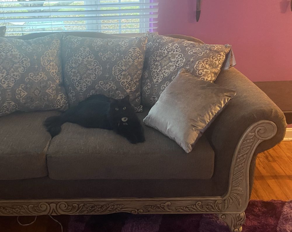 Alpha Flight - Marvel (18 - Jan 1985) comic book collectible [Barcode 071486029670] - Main Image 4