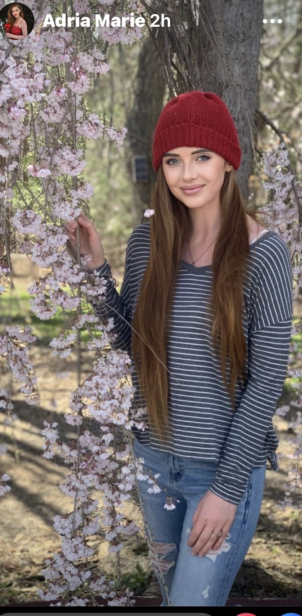 Alpha Flight - Marvel Comics (16 - 11/1984) comic book collectible - Main Image 2