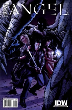 Angel: After The Fall (2007) - IDW Publishing (22) comic book collectible [Barcode 827714101546] - Main Image 1