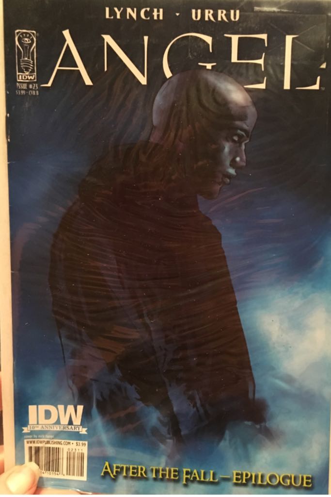 Angel: After the Fall (2007) - IDW Publishing (23 - Sep 2009) comic book collectible [Barcode 82771410154602311] - Main Image 1