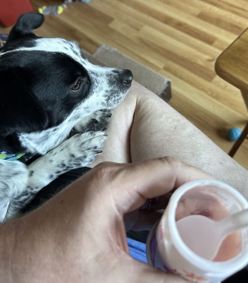 Spider-Man - Marvel Comics (37 - Aug 1993) comic book collectible [Barcode 759606013210] - Main Image 2