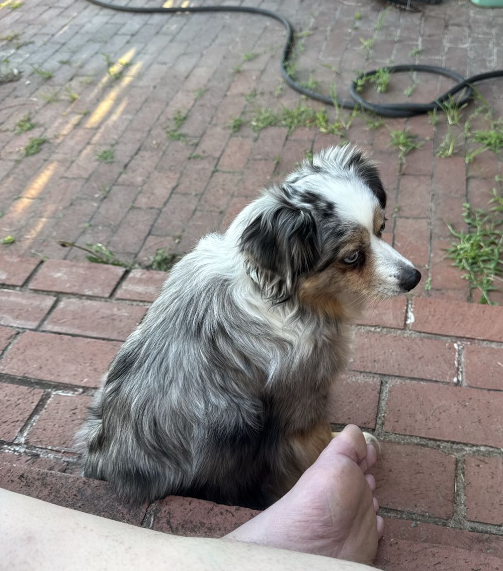 Spider-Man - Marvel Comics (47 - Jun 1994) comic book collectible [Barcode 759606013210] - Main Image 3