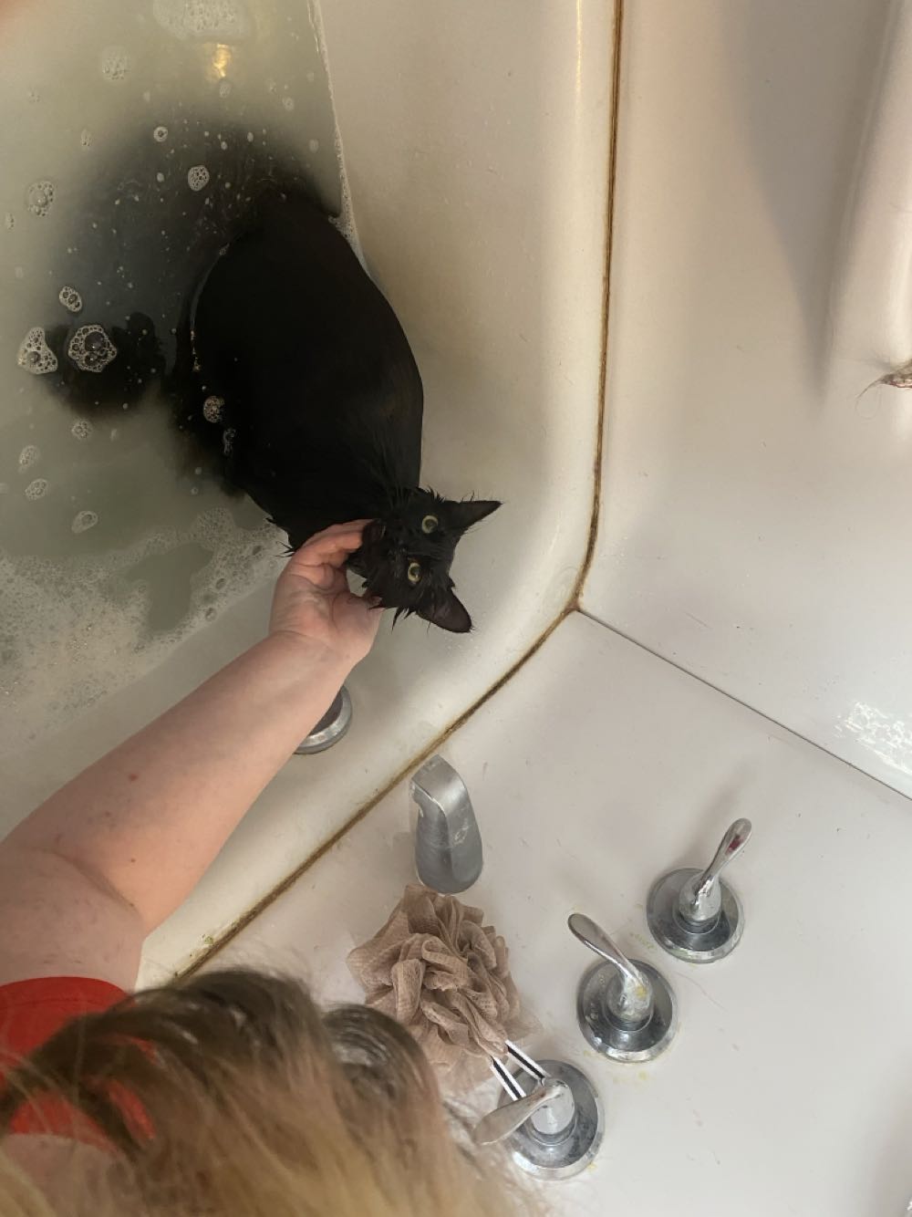 Spider-Man - Marvel Comics (51 - Oct 1994) comic book collectible [Barcode 759606013210] - Main Image 3