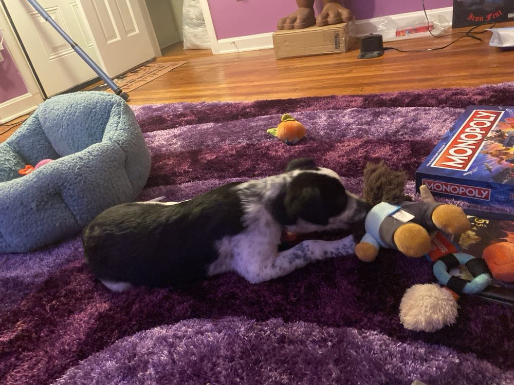 Spider-Man - Marvel Comics (51 - Oct 1994) comic book collectible [Barcode 759606013210] - Main Image 4