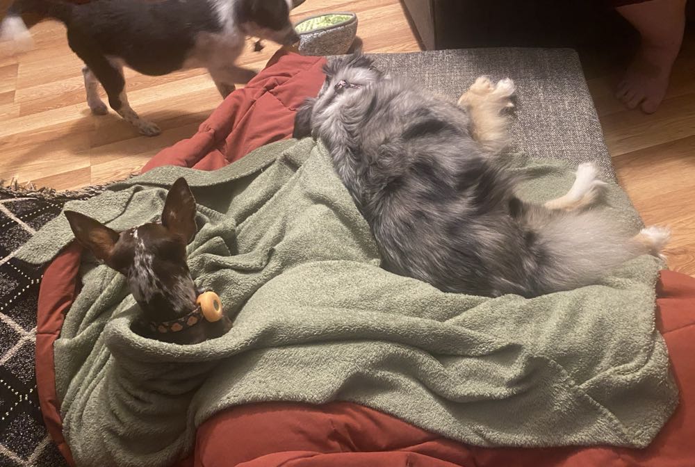 Spider-Man - Marvel Comics (32 - Mar 1993) comic book collectible [Barcode 071486013211] - Main Image 3