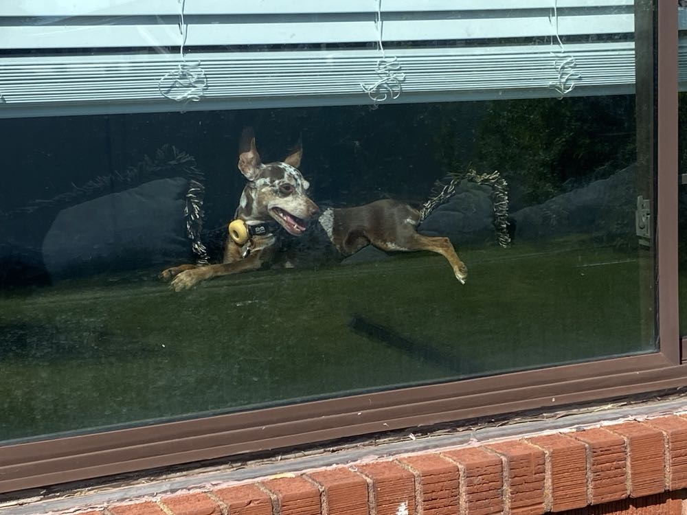 Spider-Man - Marvel Comics (39) comic book collectible [Barcode 071486013211] - Main Image 3