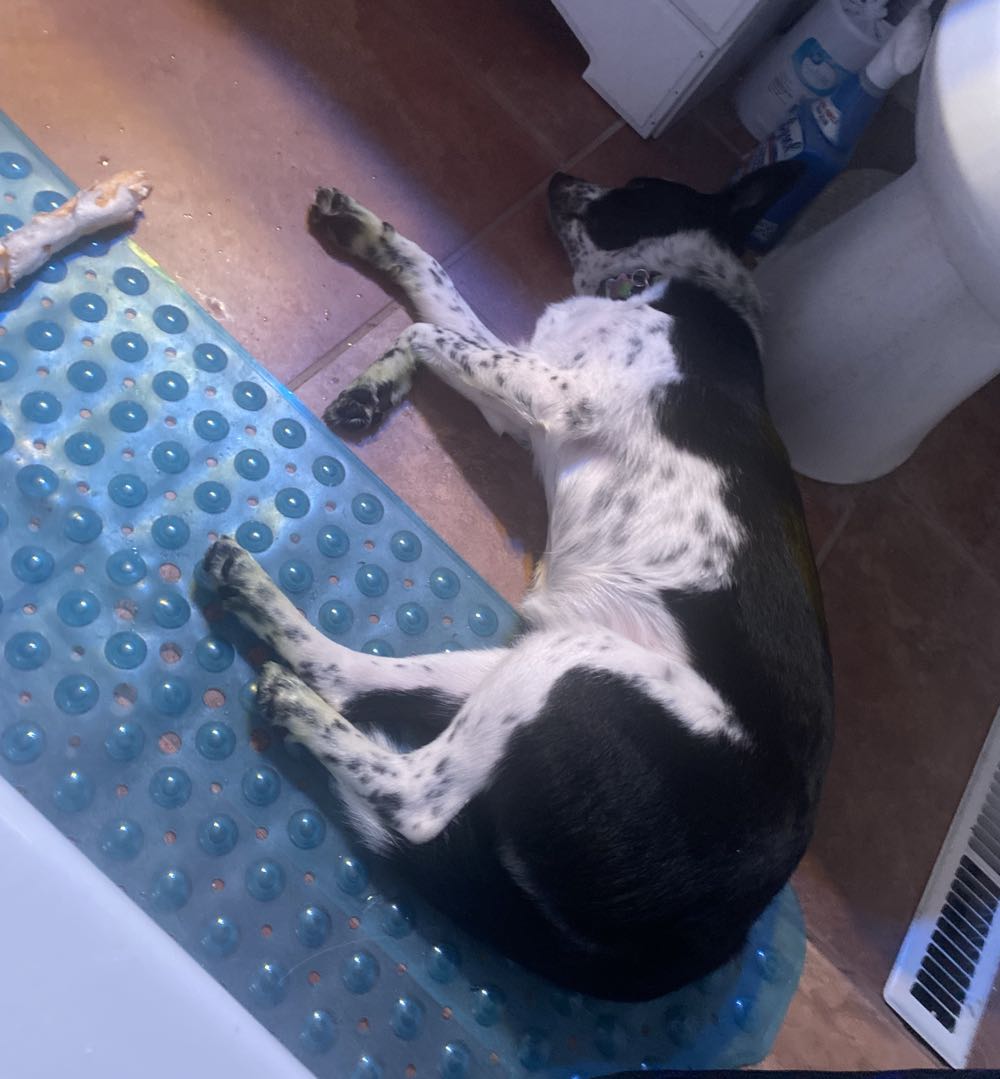 Spider-Man - Marvel Comics (26 - Sep 1992) comic book collectible [Barcode 071486013211] - Main Image 3