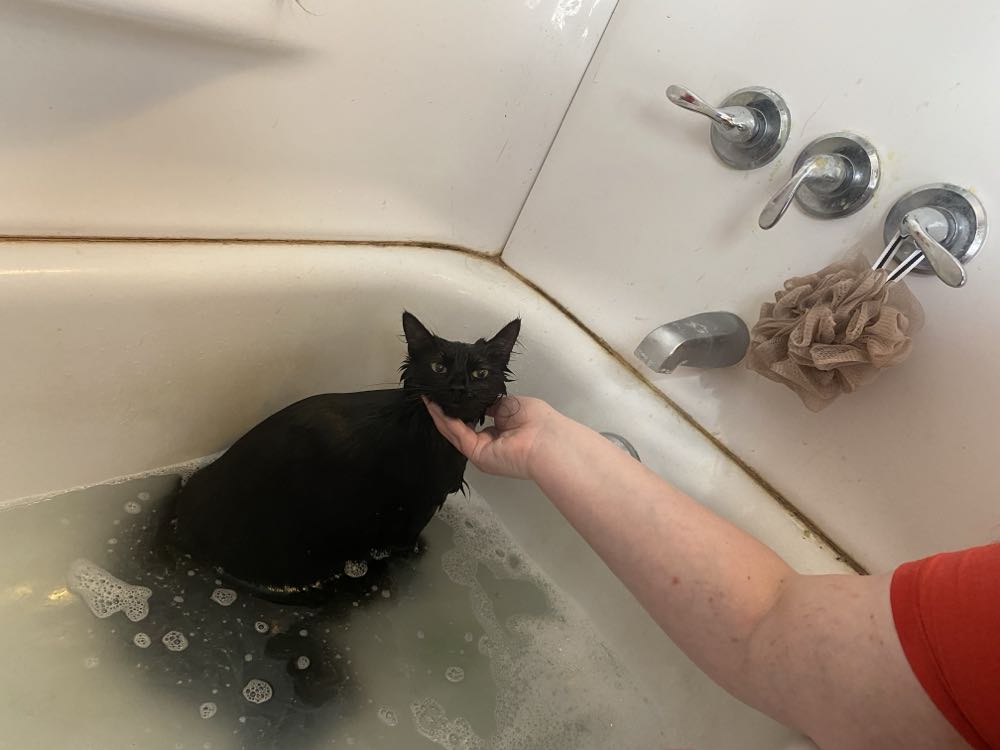 Spider-Man - Marvel Comics (26 - Sep 1992) comic book collectible [Barcode 071486013211] - Main Image 4