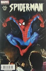 Peter Parker, The Spectacular Spider-Man