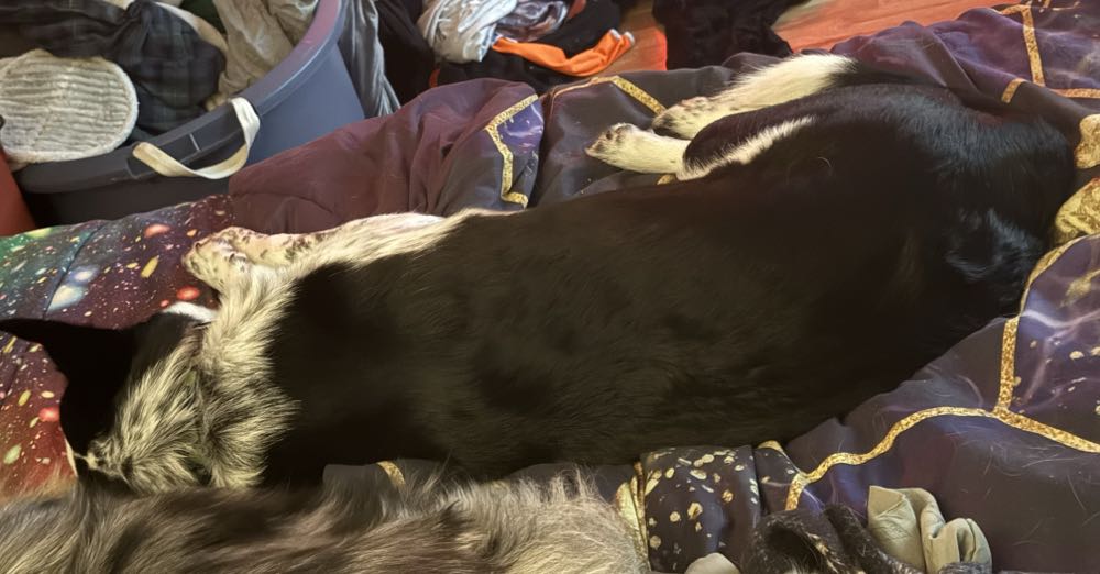 Spider-Man - Marvel Comics (46 - May 1994) comic book collectible [Barcode 071486013273] - Main Image 3