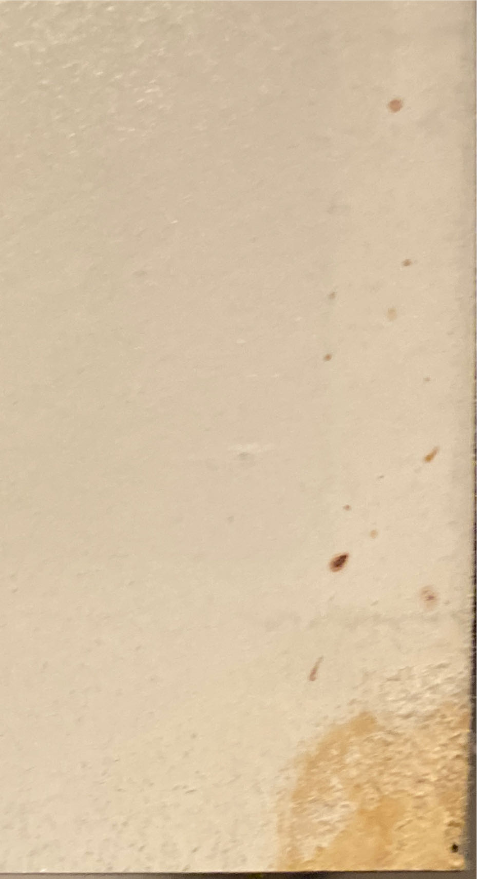 Spider-Man - Marvel (10 - May 1991) comic book collectible - Main Image 3