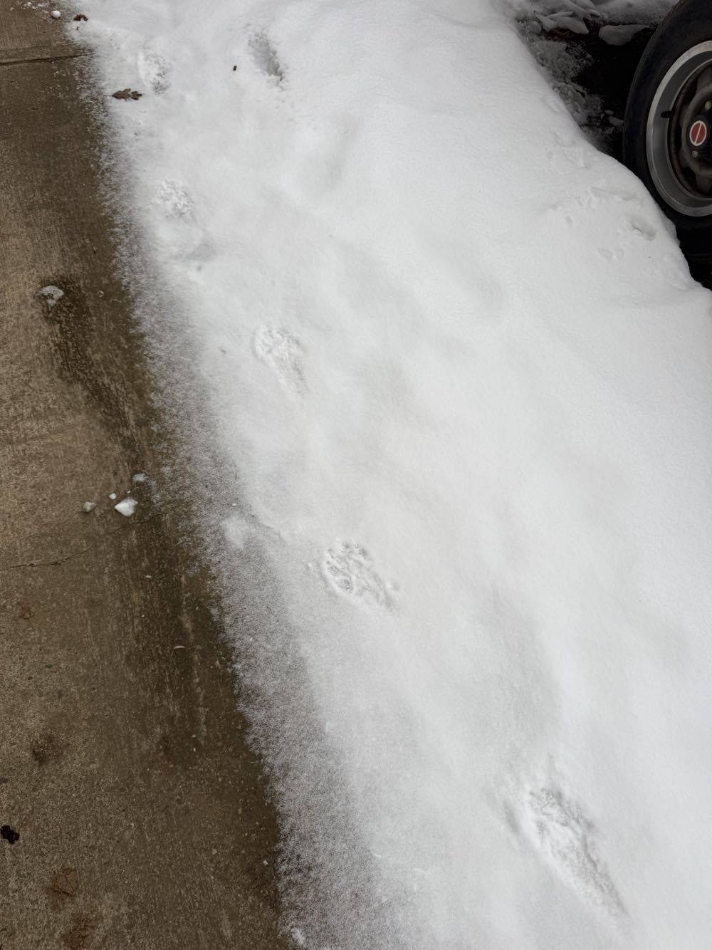 Excalibur - Marvel Comics (41 - Sep 1991) comic book collectible [Barcode 759606055401] - Main Image 3