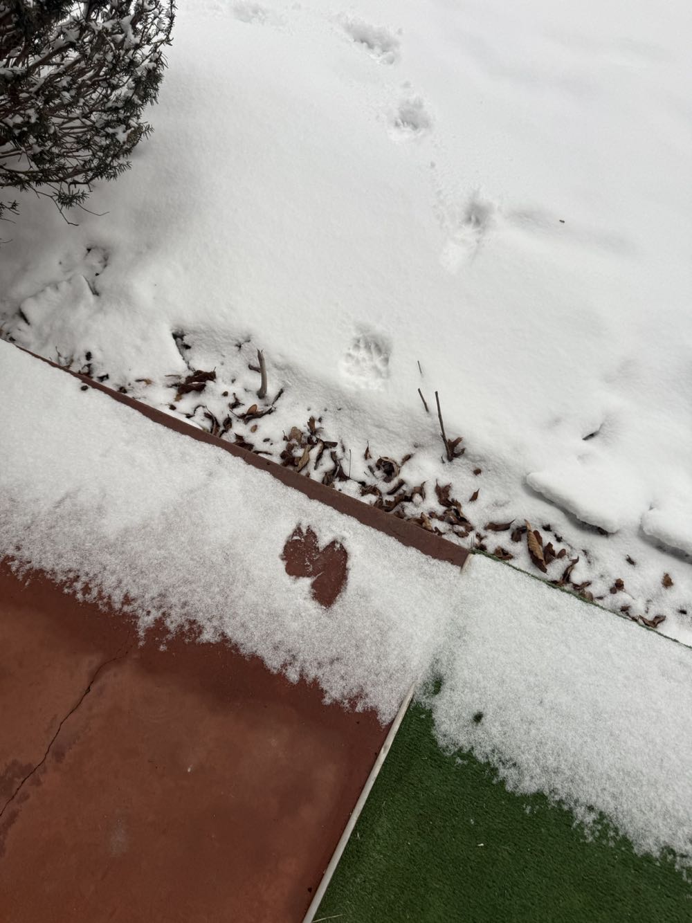 Excalibur - Marvel Comics (37 - May 1991) comic book collectible [Barcode 759606055401] - Main Image 3