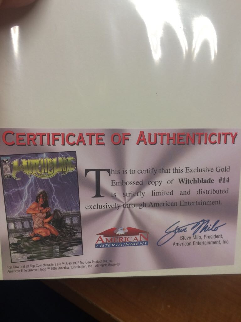 Witchblade - Image (14 - 05/1997) comic book collectible - Main Image 2