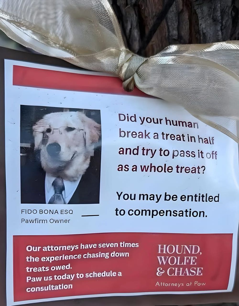 Cable - Marvel Comics (47 - Oct 1997) comic book collectible [Barcode 75960601362304711] - Main Image 4