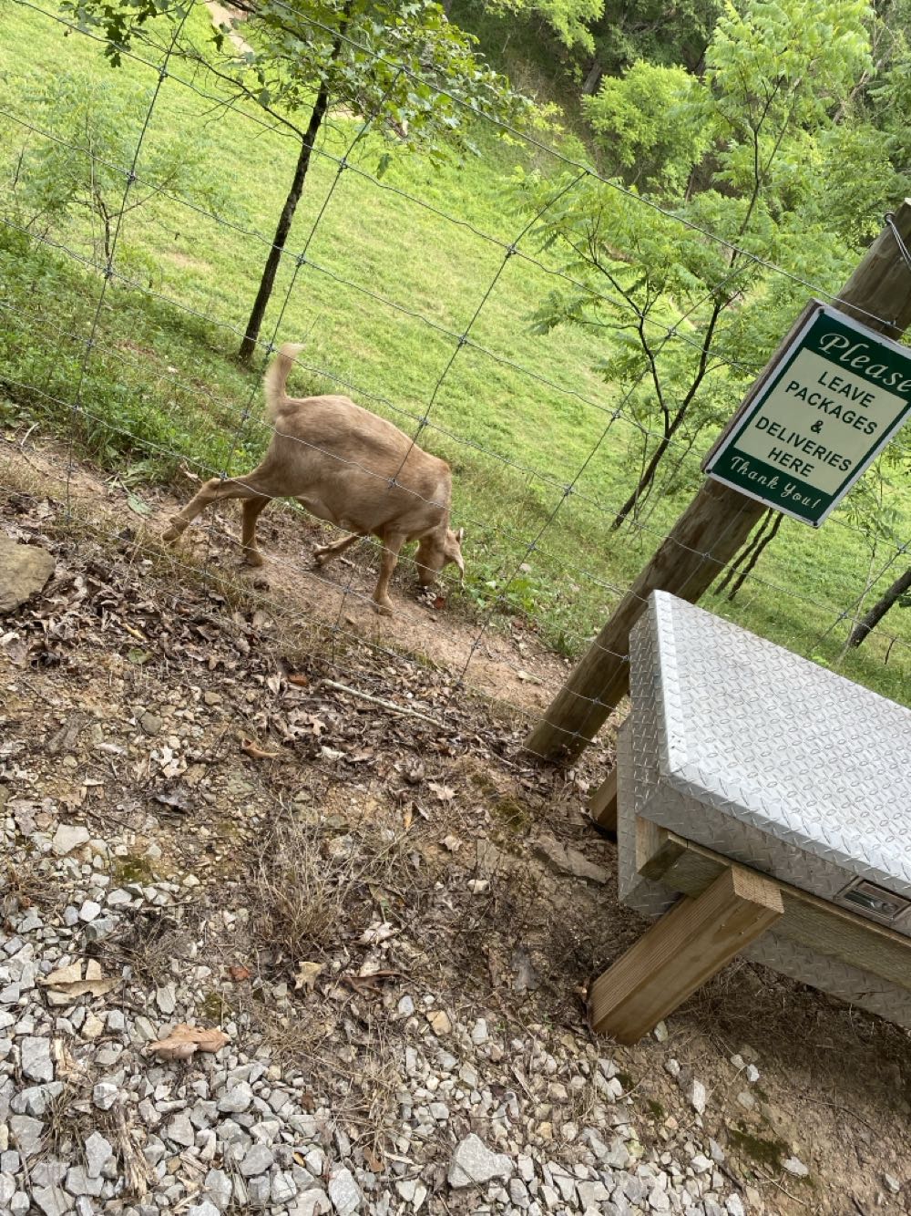 Thunderbolts - Marvel Comics (109 - Feb 2007) comic book collectible [Barcode 75960605602610911] - Main Image 3